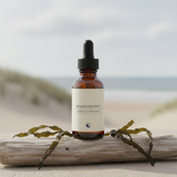 Oceanic | Seaweed Mineral Drops