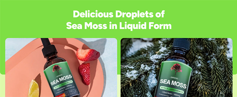 Nourish — Sea Moss Liquid Extract