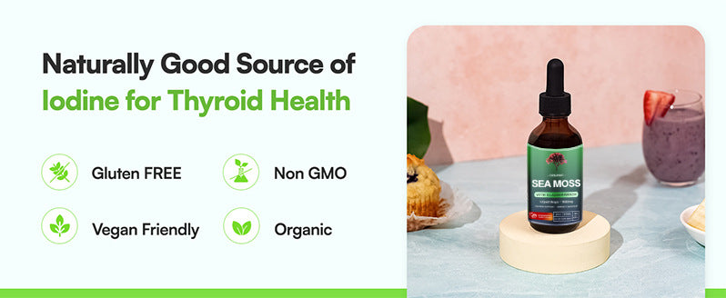 Nourish — Sea Moss Liquid Extract